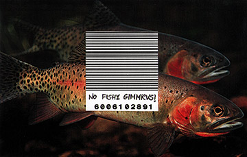 Be ready consumers: No fishy gimmicks!