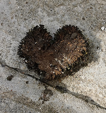 Be careful with love again. A broken heart will be dirty for a while.