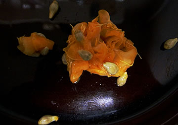 Smiling Goldfish swimming with its babies… unsuspicious of the dangers that it is inside somebody's plate!