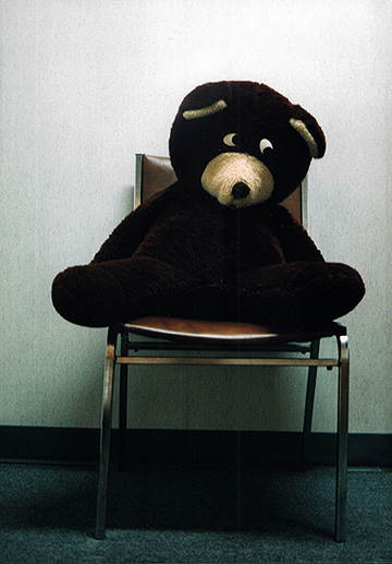 Teddy bear (1999).