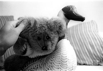 Teddy bear and duck (~1998).