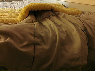 The stress between years does not require evidence: 2024-2025