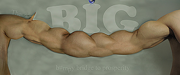 The big bumpy bridge to prosperity.