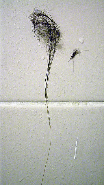 A sperm, a tangled up hair, and a white pen.