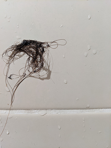 A patch of hair observing its shadow.