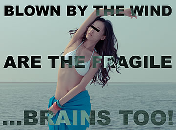 Blown by the wind are the fragile… brains too!