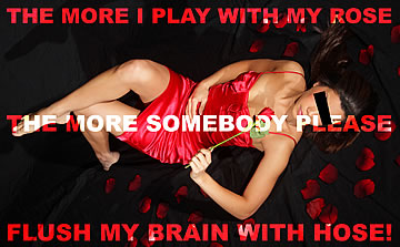 The more I play with my rose, the more somebody please flush my brain with hose!