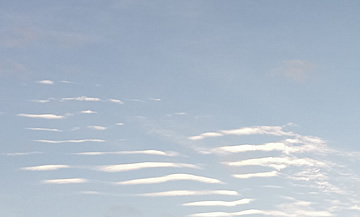Cat Paw Sky Scratch!